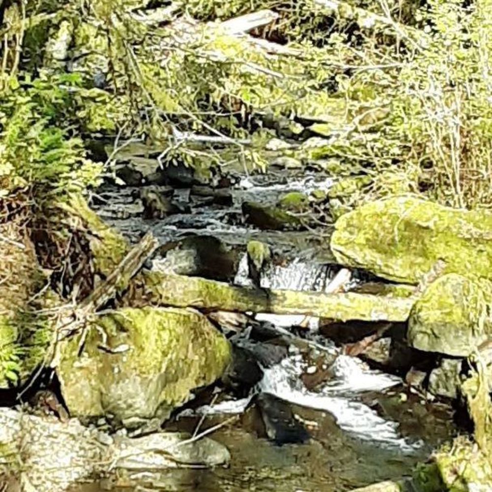 Meet your Posher, Vicki